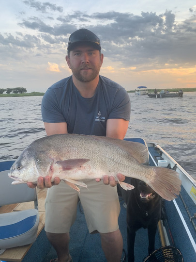 Freshwater Drum