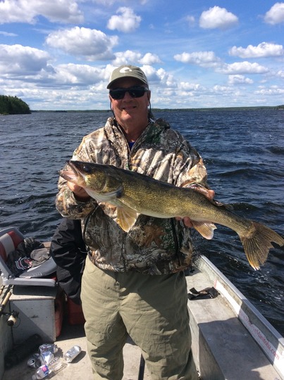 Walleye