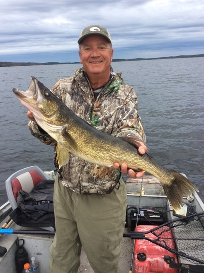 Walleye