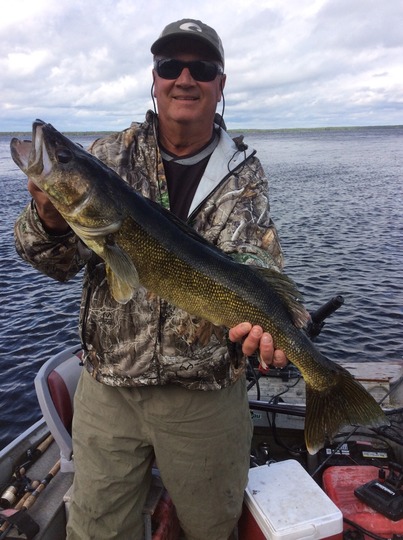 Walleye