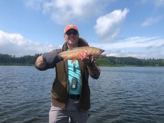 Tiger Trout