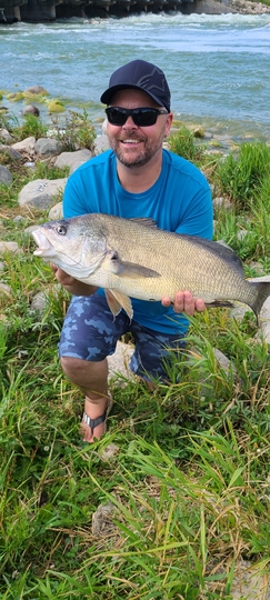 Freshwater Drum