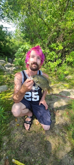 Rock Bass