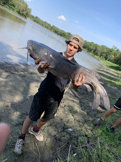 Channel Catfish