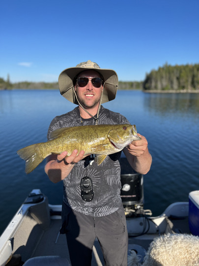 Smallmouth Bass