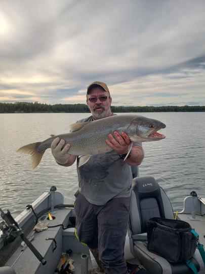 Lake Trout