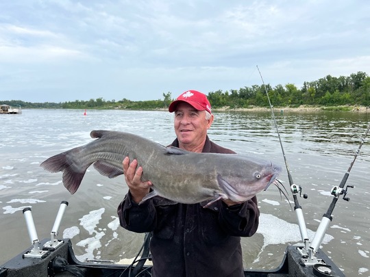 Channel Catfish