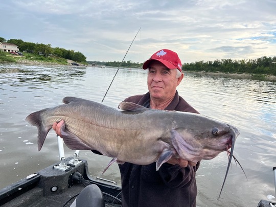Channel Catfish