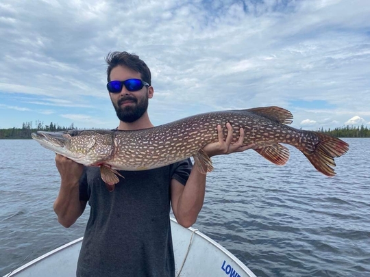 Northern Pike