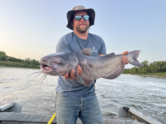 Channel Catfish