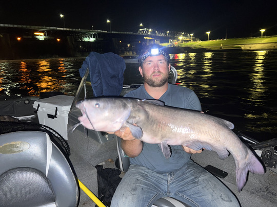 Channel Catfish