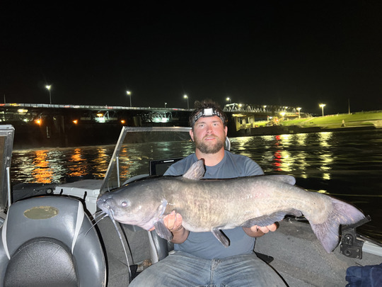 Channel Catfish