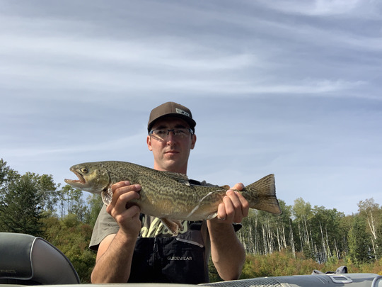 Tiger Trout