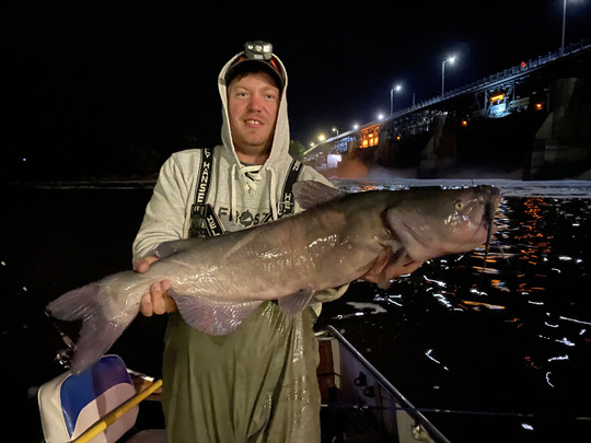 Channel Catfish