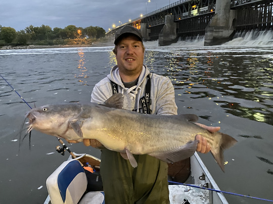 Channel Catfish