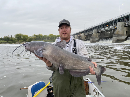 Channel Catfish