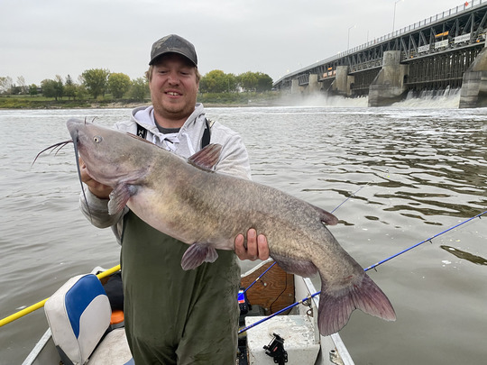 Channel Catfish