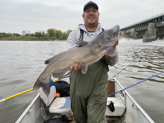 Channel Catfish