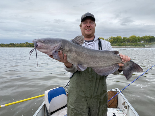 Channel Catfish