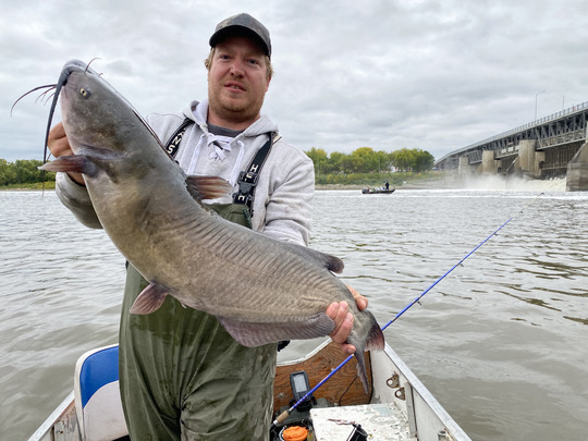 Channel Catfish