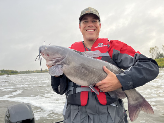 Channel Catfish