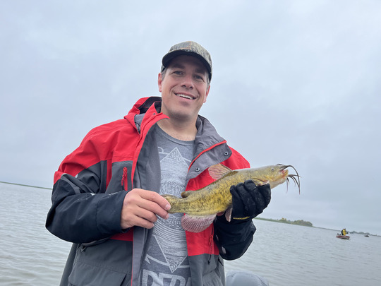 Bullhead