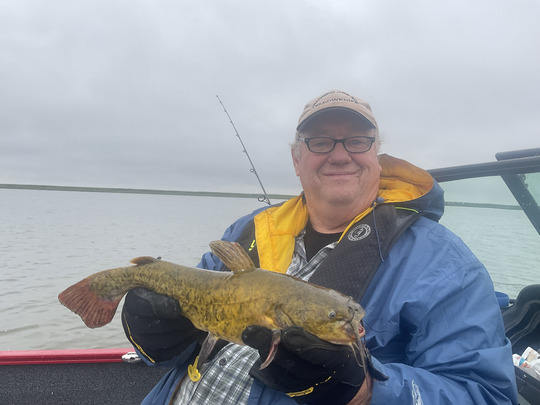 Bullhead