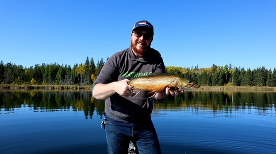 Tiger Trout