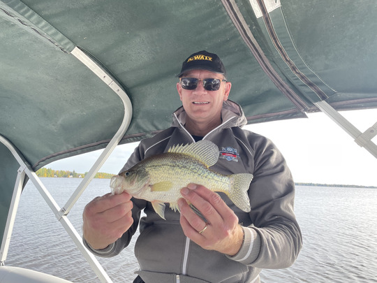 Black Crappie