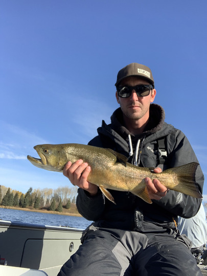 Tiger Trout