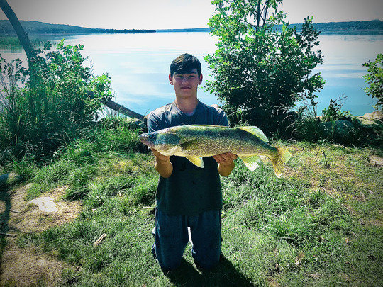 Walleye