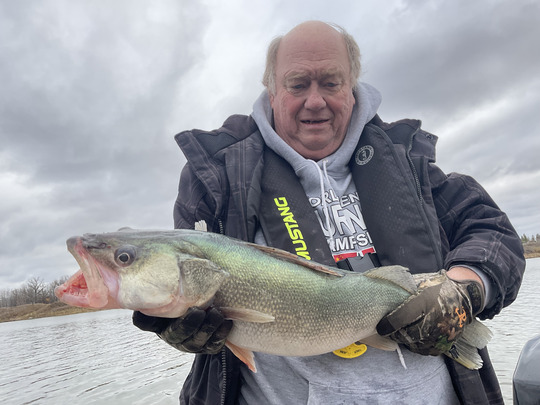 Walleye