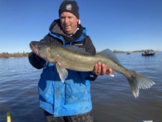 Walleye