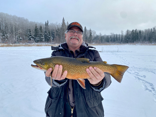 Tiger Trout