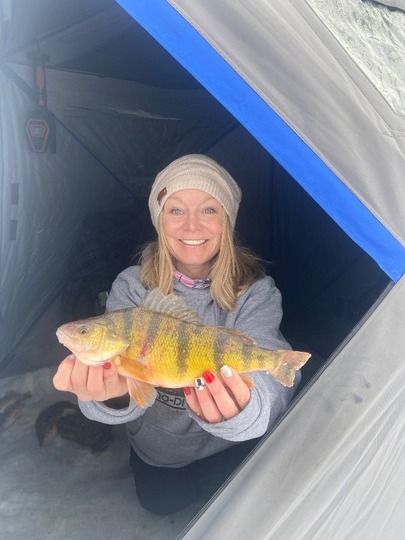 Yellow Perch