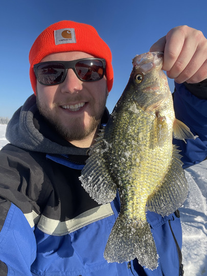 Black Crappie
