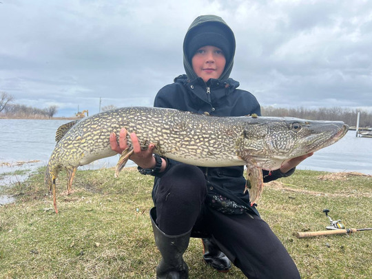 Northern Pike