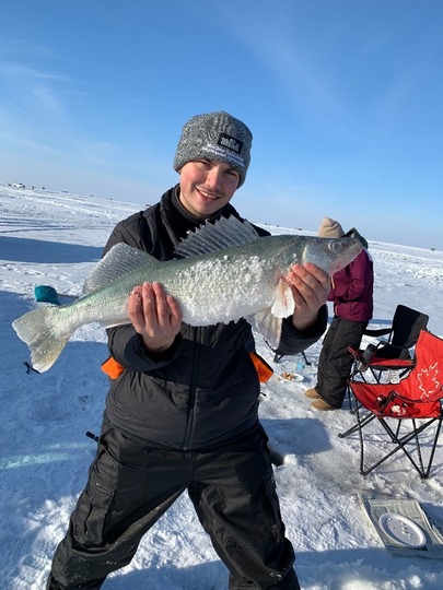 Walleye