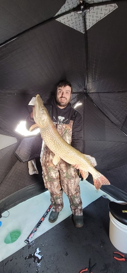 Northern Pike