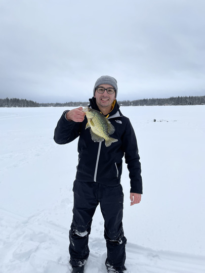 Black Crappie