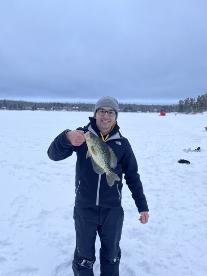 Black Crappie