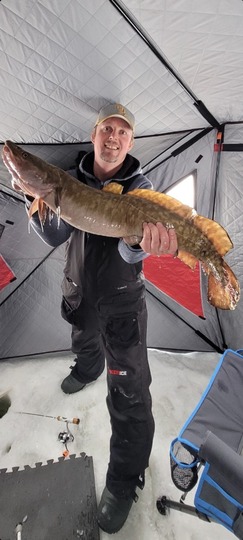 Burbot