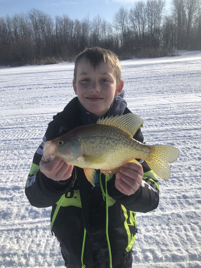 Black Crappie