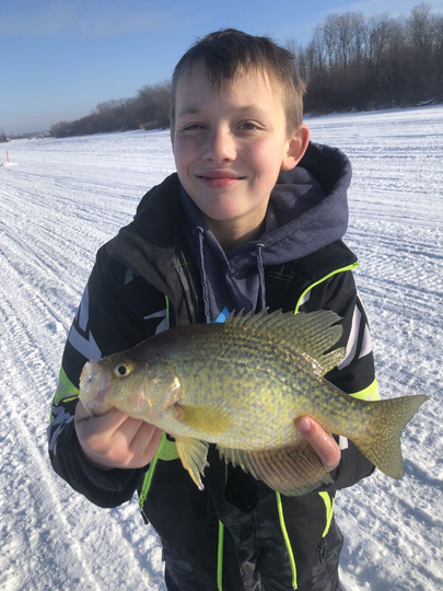 Black Crappie