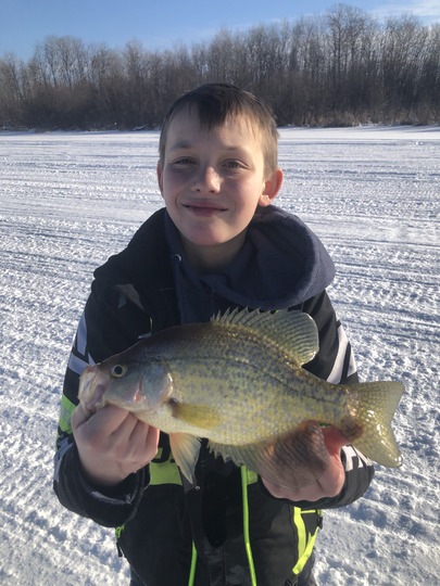 Black Crappie