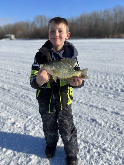 Black Crappie