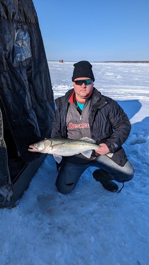 Walleye