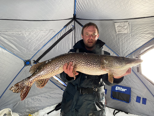 Northern Pike