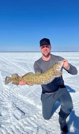 Burbot