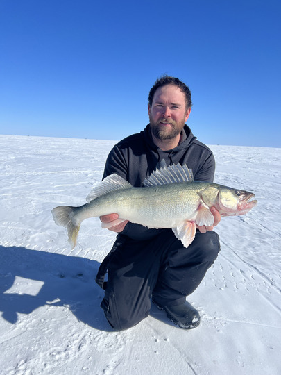 Walleye